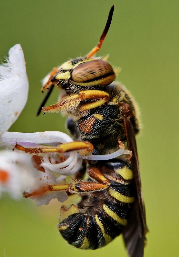 Photograph by Moura Denis