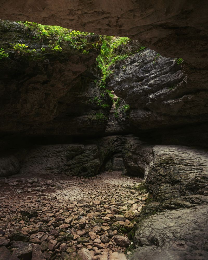 Photograph by Александр Титов