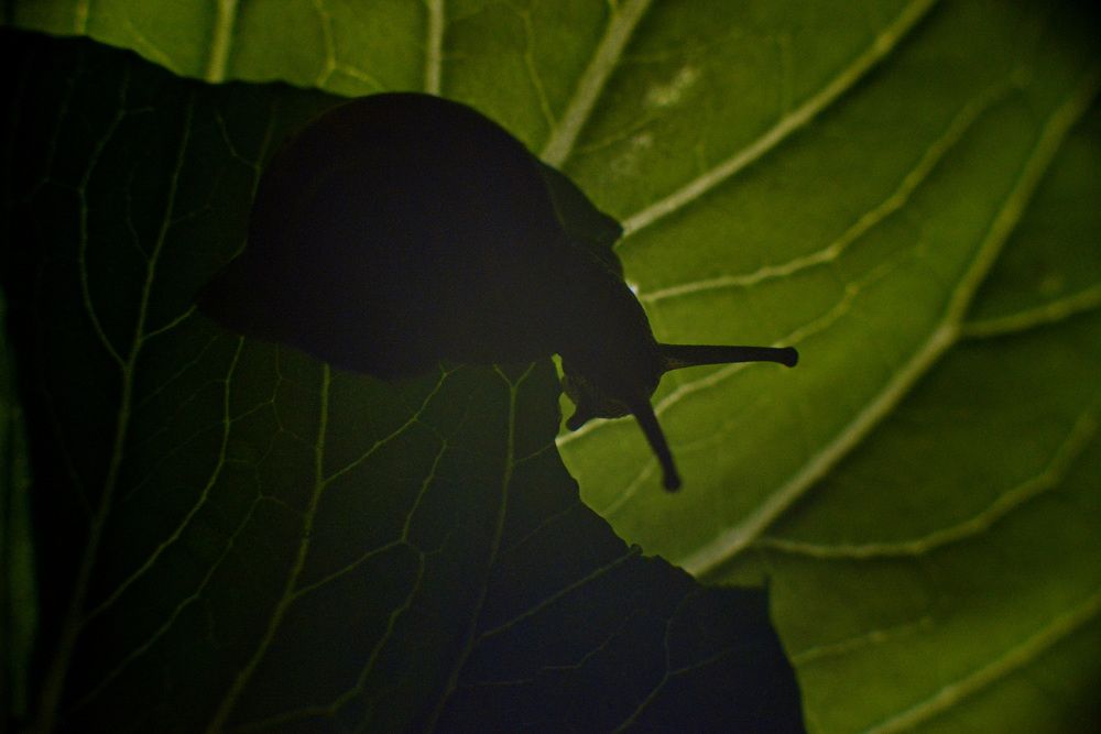 Photograph by Ольга Темкина