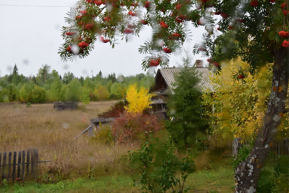 Photograph by Елена Самойлова