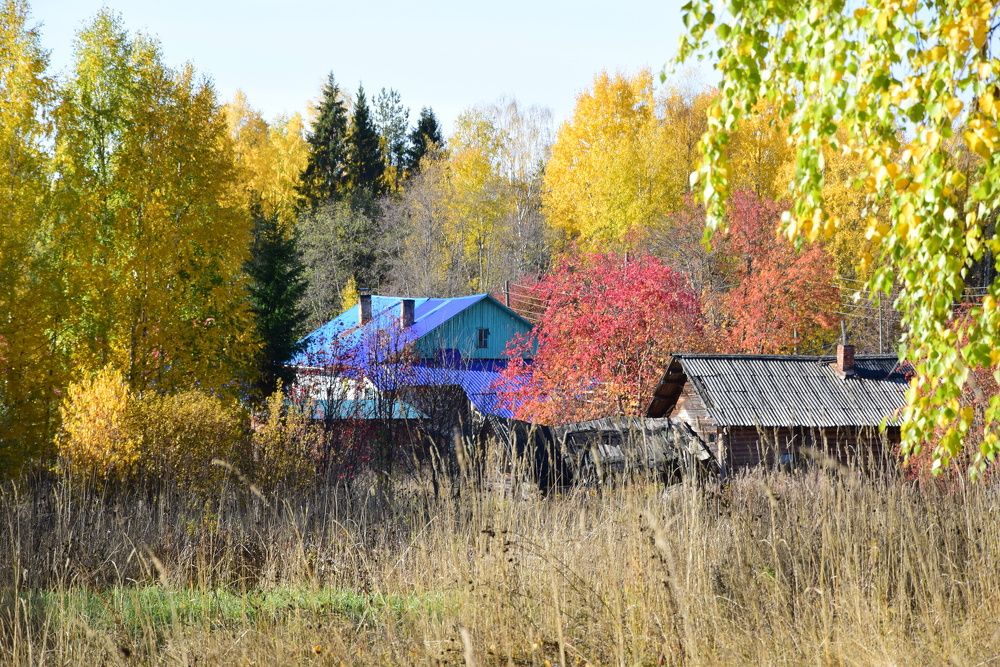 Photograph by Елена Самойлова