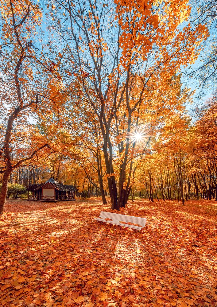 Фотография автора Анастасия Мазурева