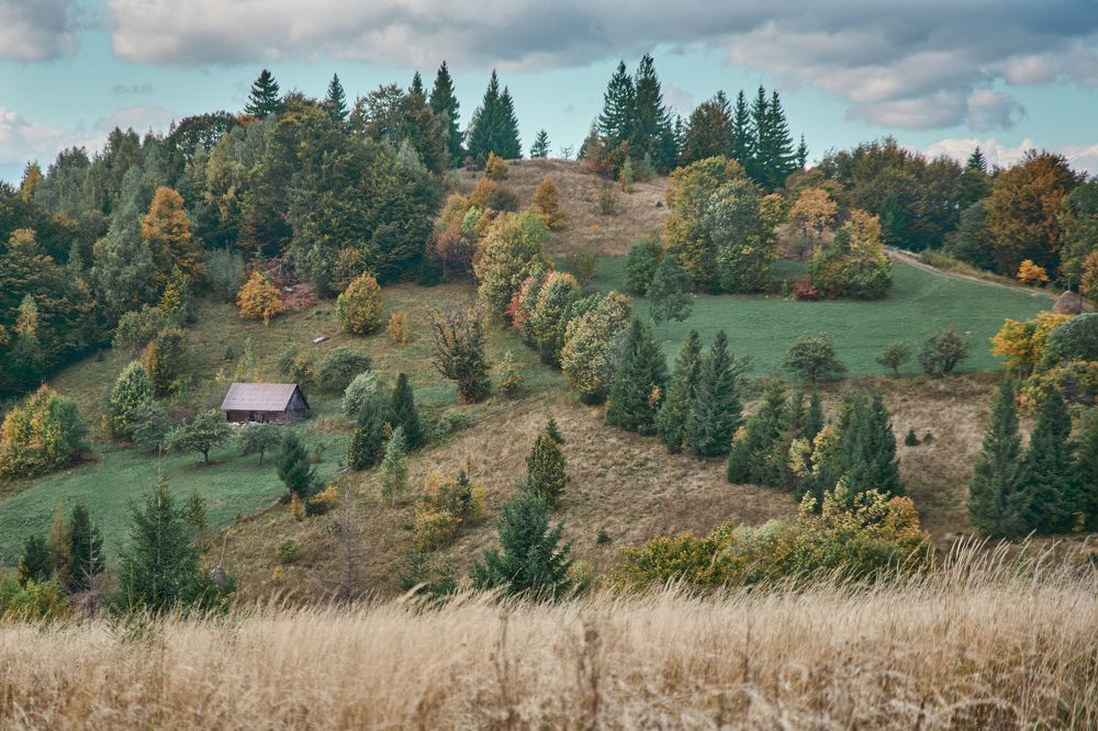 Photograph by Игорь