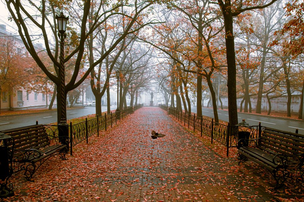 Photograph by Вячеслав Смеликов