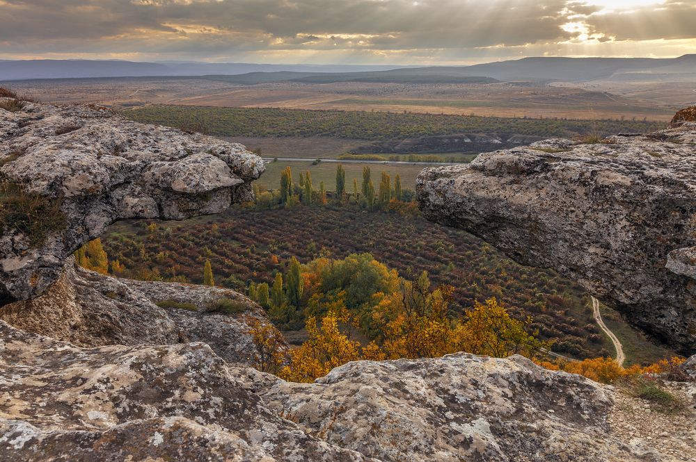 Photograph by Елена Гусева