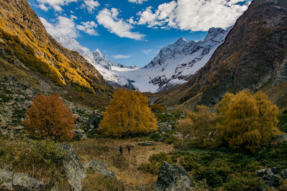 ОСЕНЬ - ЗИМА