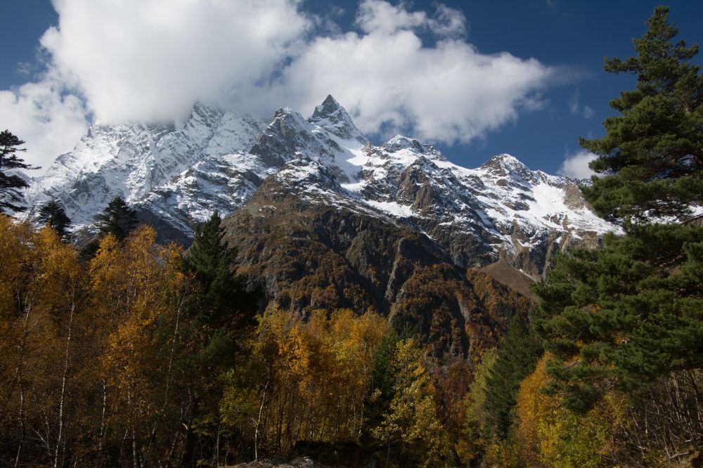 ПРОВОДЫ ОСЕНИ