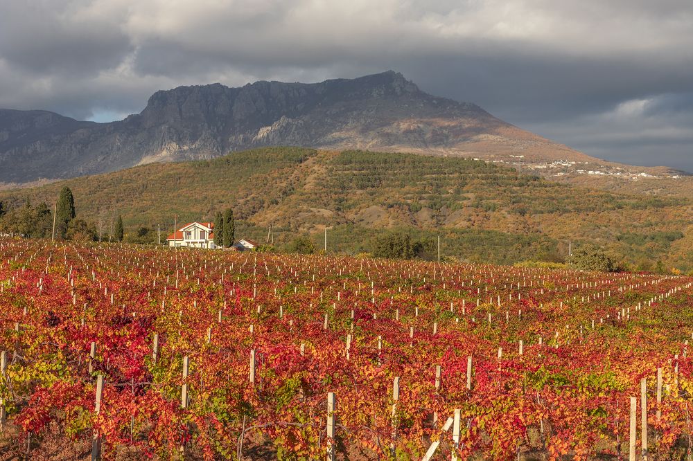 Photograph by Елена Гусева