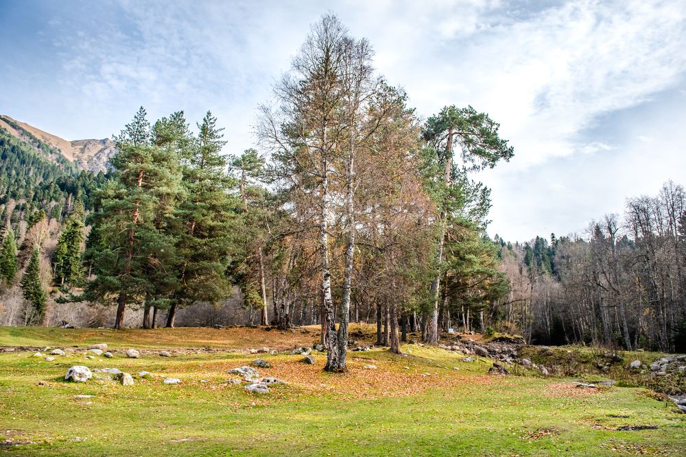 Photograph by Инна Толстореброва