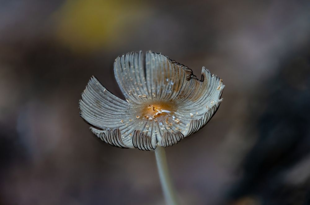 Photograph by Денис Дроздов