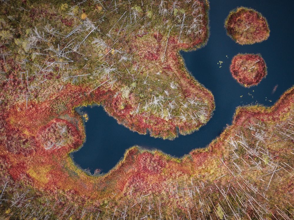 Photograph by Дмитрий Рябцев