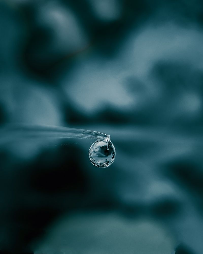 Photograph by Chiranjit Dey