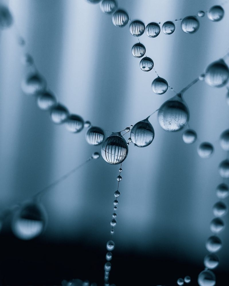 Photograph by Chiranjit Dey