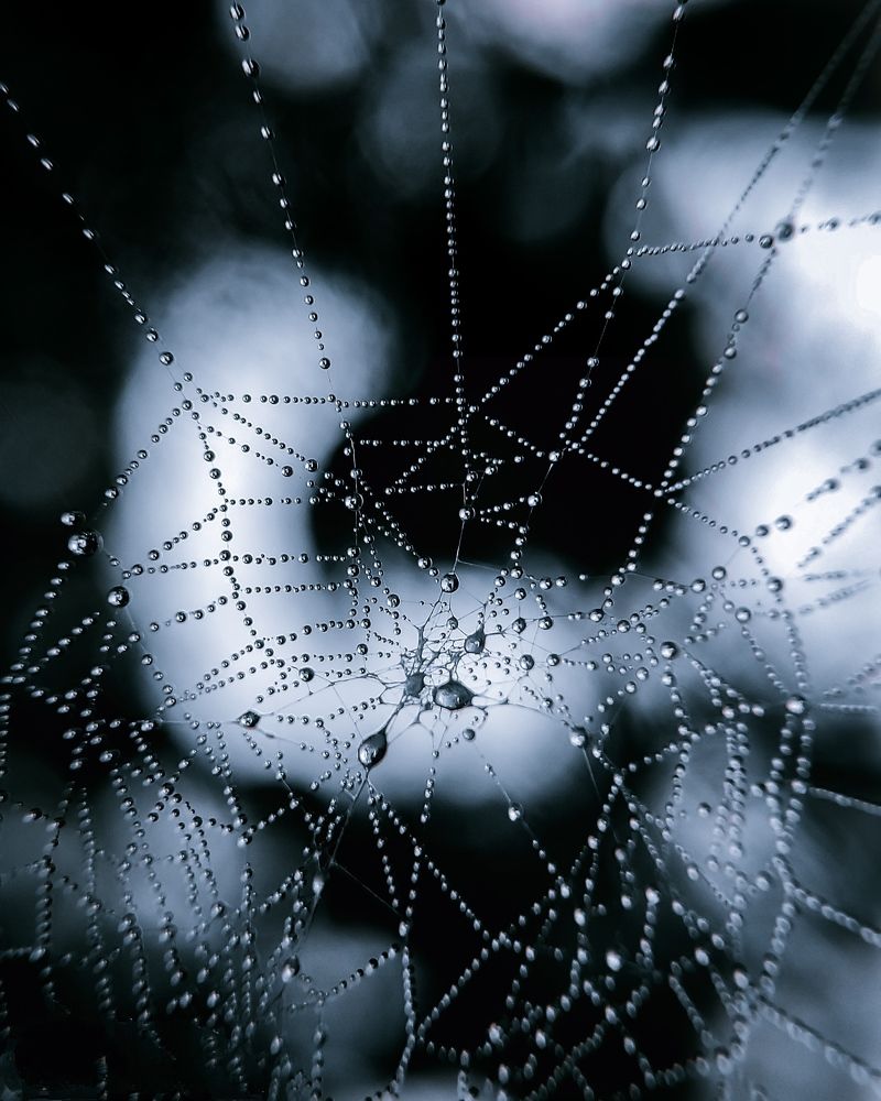 Photograph by Chiranjit Dey