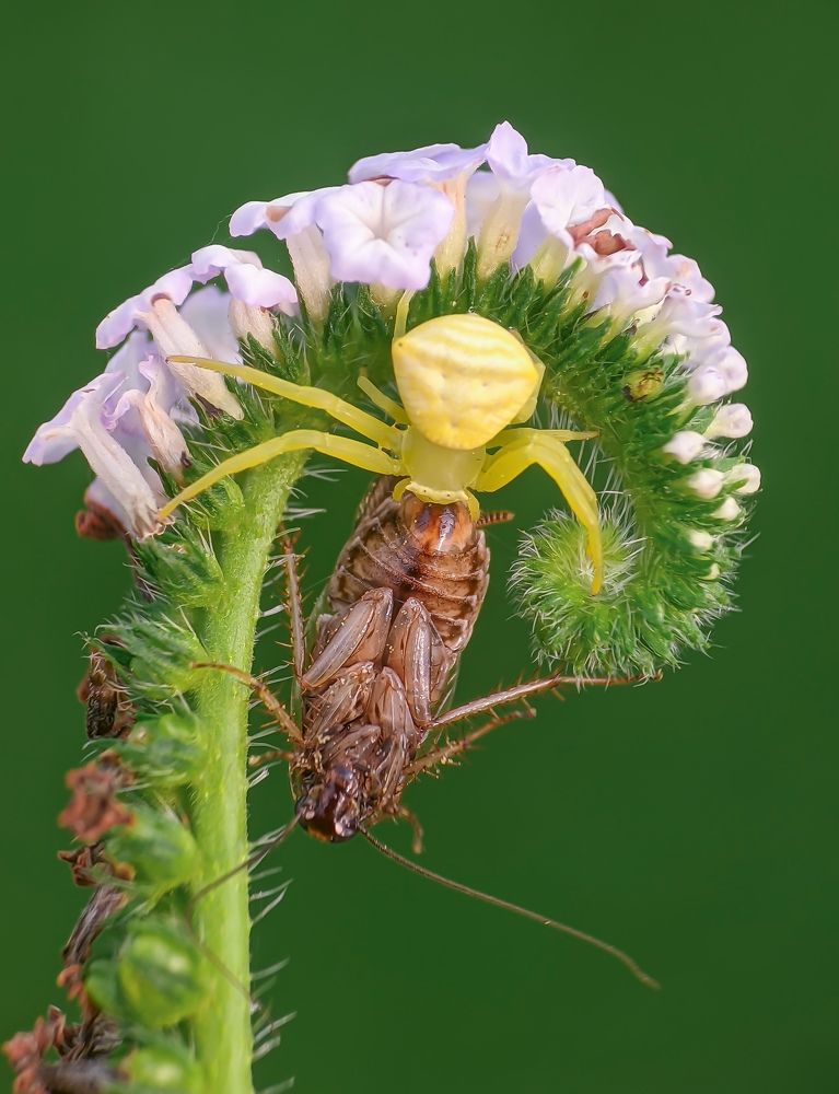Photograph by Ananta Ghosh