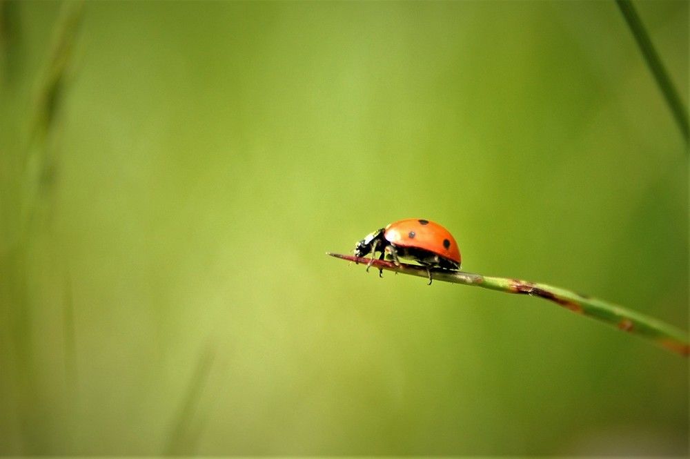 Photograph by Светлана Минаева