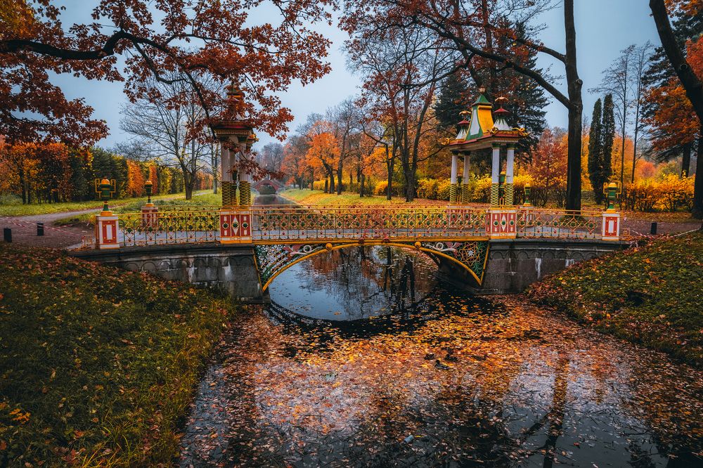 Фотография автора Майя Афзаал