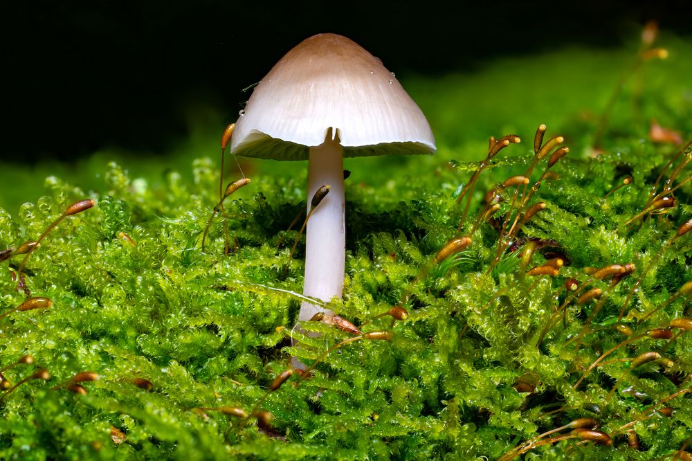 Photograph by Денис Дроздов