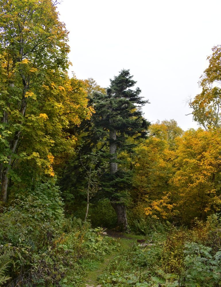 Photograph by Александр Лопатин