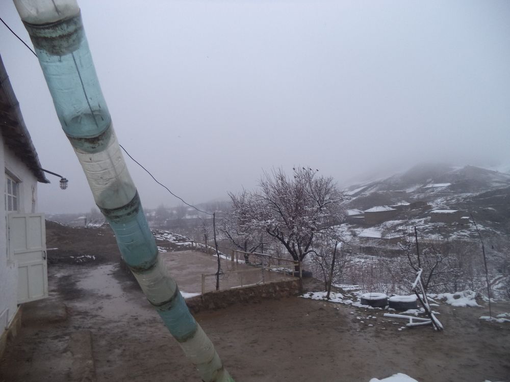 Photo #6647898