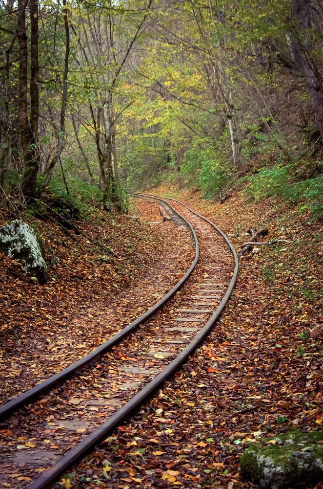 Photograph by Ирина Бандалет