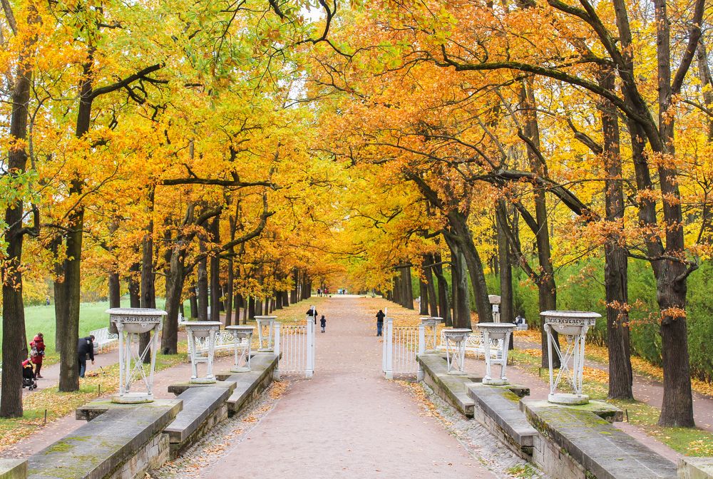 Photograph by Герман