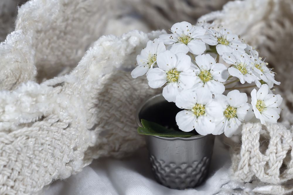 Photograph by Ирина Кротова