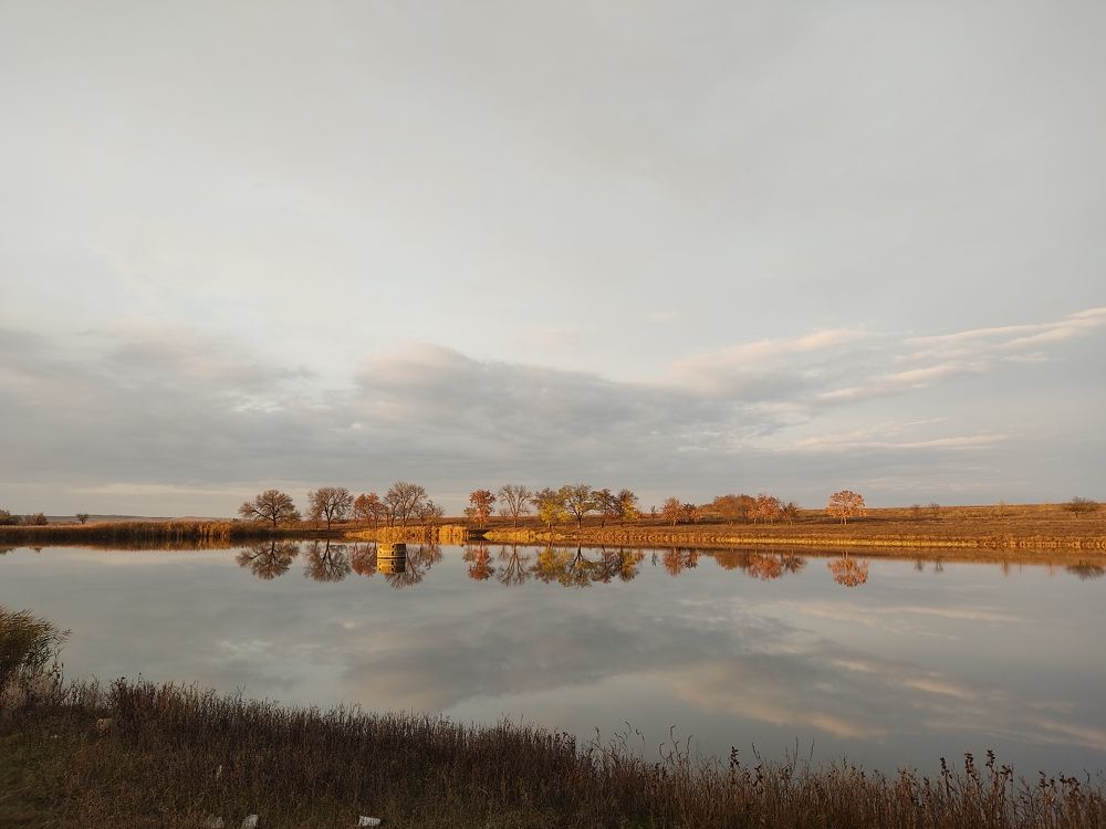 Photograph by Ирина Наумова