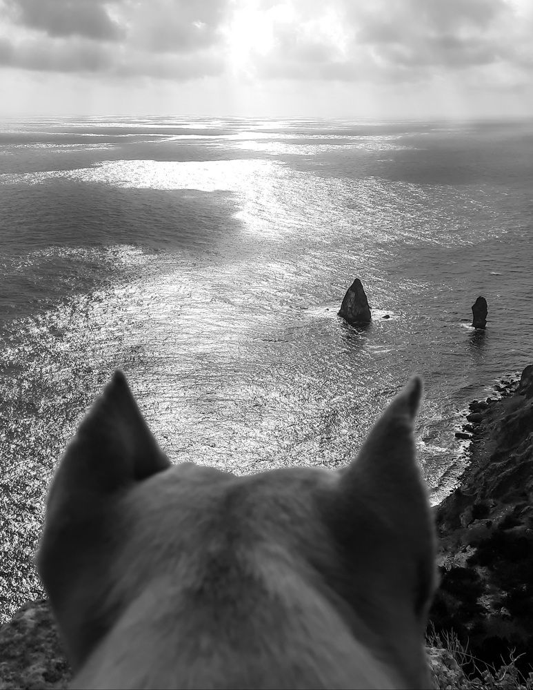 Photograph by George Pavlov