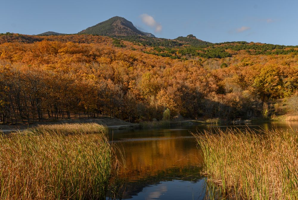 Отражение Reflection