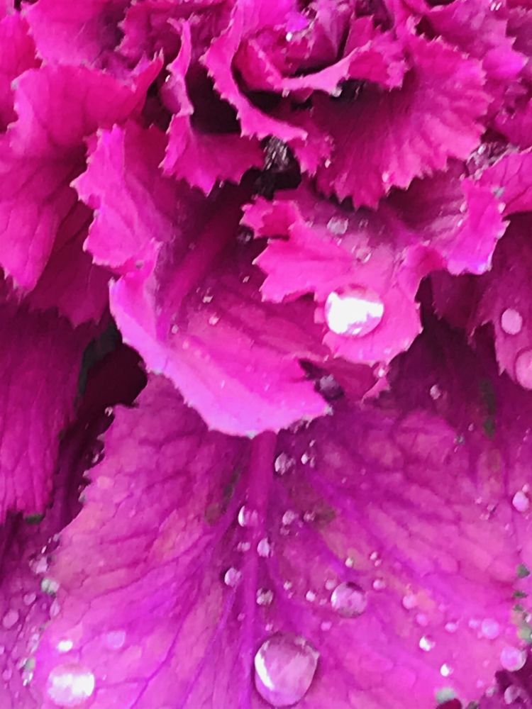 Photograph by Anca Hultoana