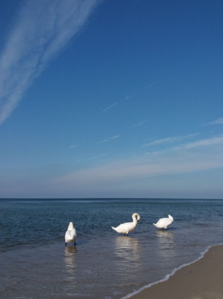 Photograph by Татьяна