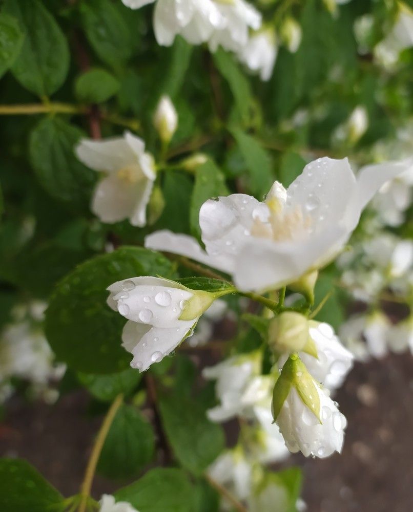 Photograph by Litvinova Ann