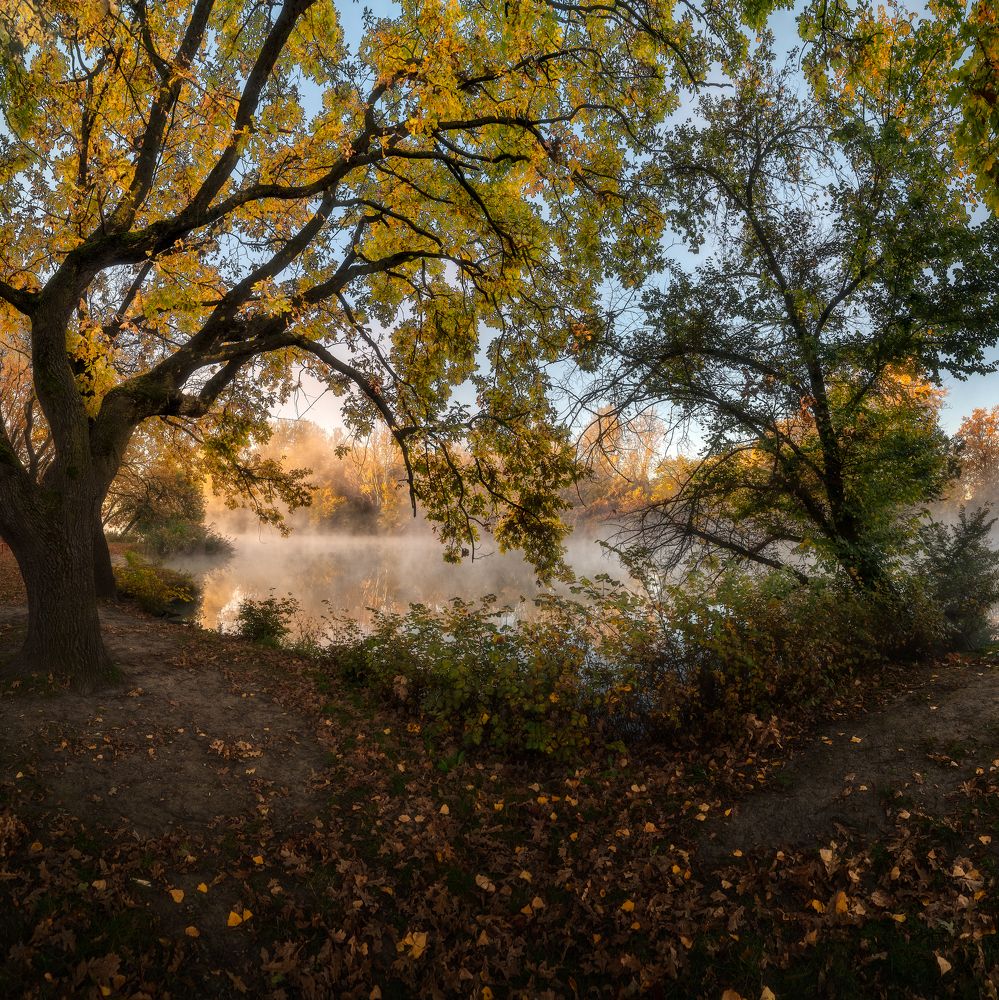 Photograph by Alexander Plekhanov