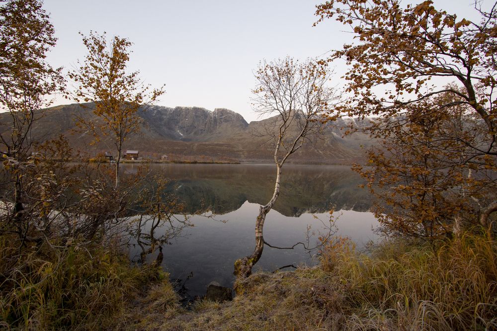 Photograph by Наталия Никитинская