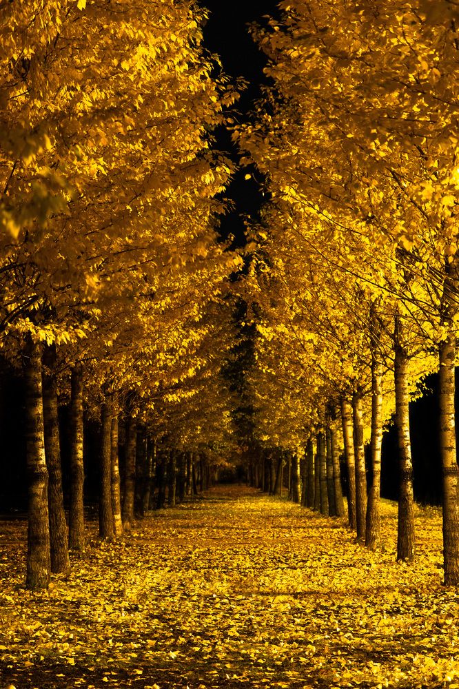 Photograph by Денис Боровских