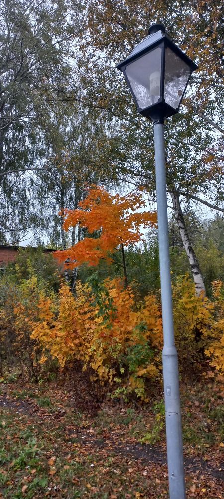 Photograph by Смирнова Наталия