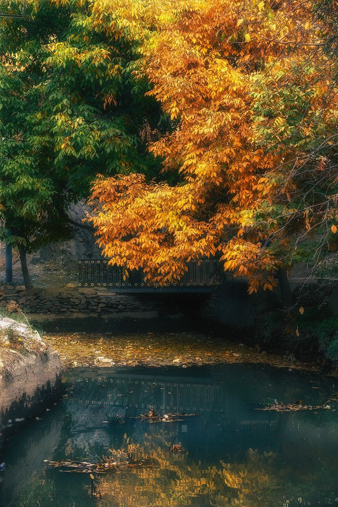 Photograph by Hengameh pirooz