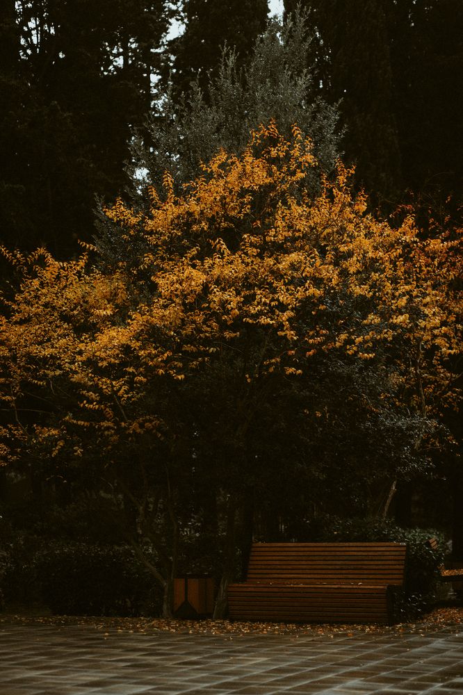 Photograph by Павел Дженбаз