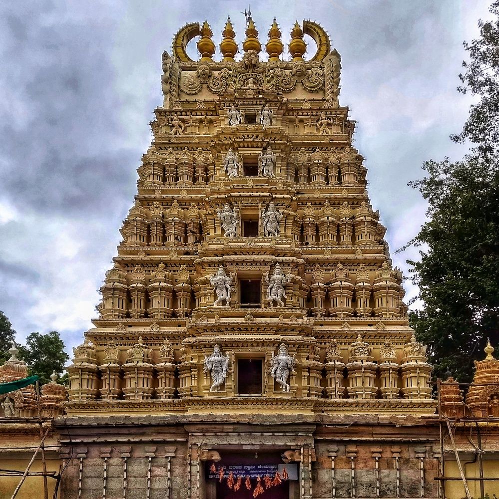 Photograph by Rishabh Solanki