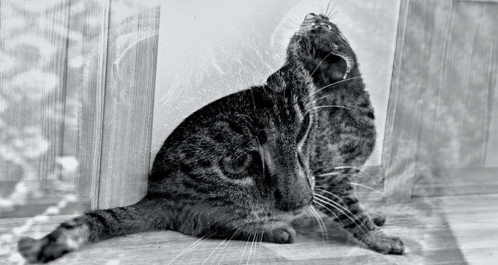 Photograph by Rastislav Kašper