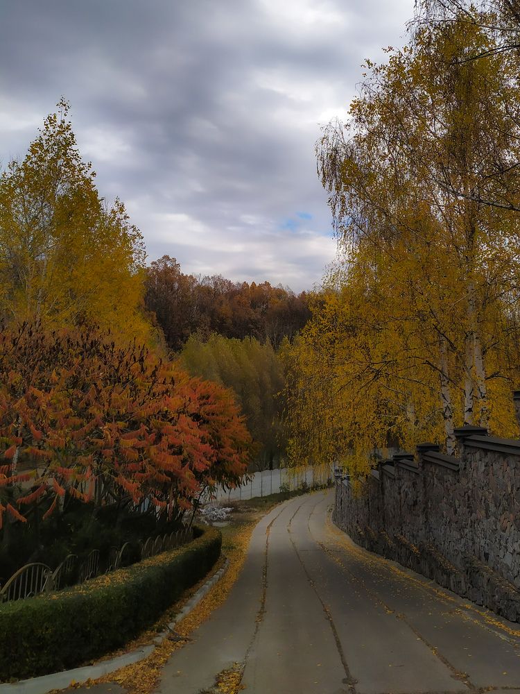 Photograph by Alekseeva Marina