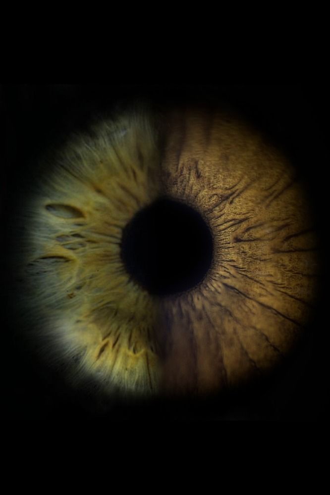 Фотография автора Alexandru Popescu