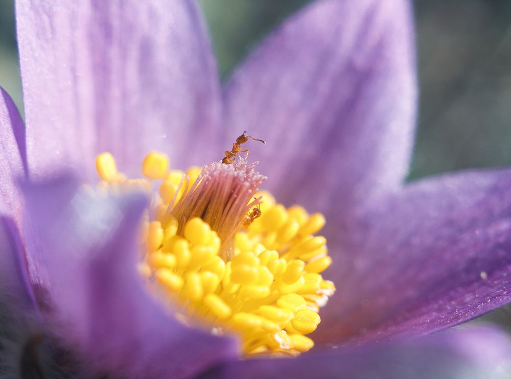 Photograph by Артём Корнев