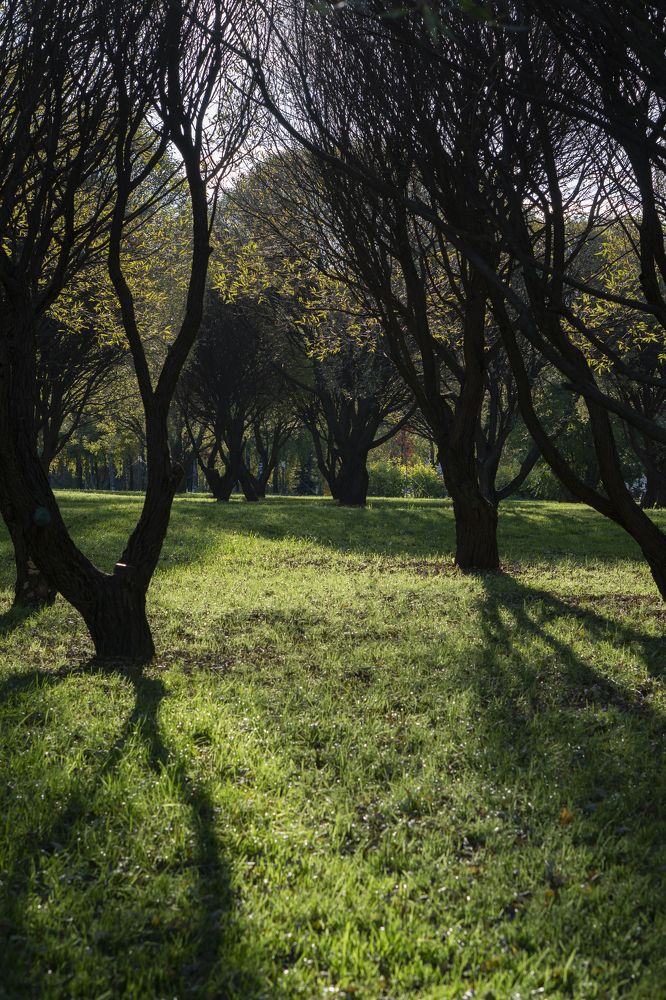 Осеннее солнце