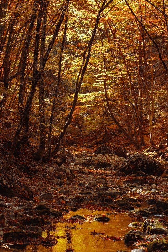 Photograph by Артём Корнев