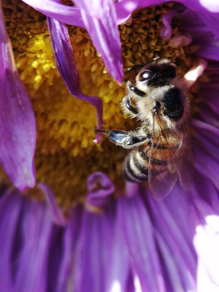 Photograph by Гонтарь Александра