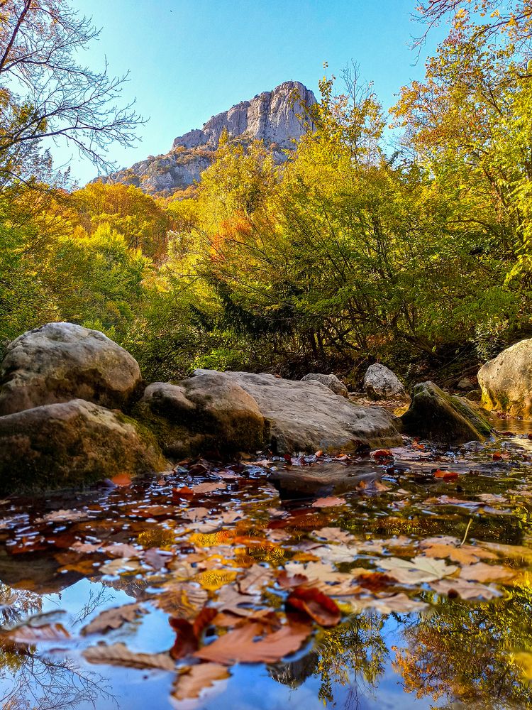 Photograph by Анна