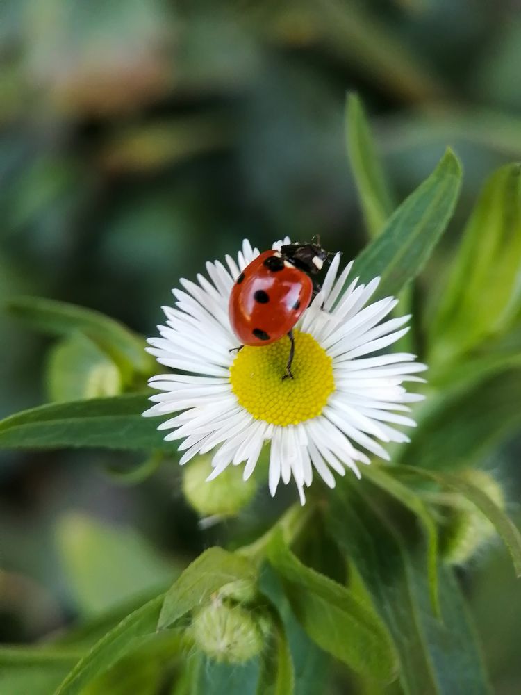 Photograph by Гонтарь Александра