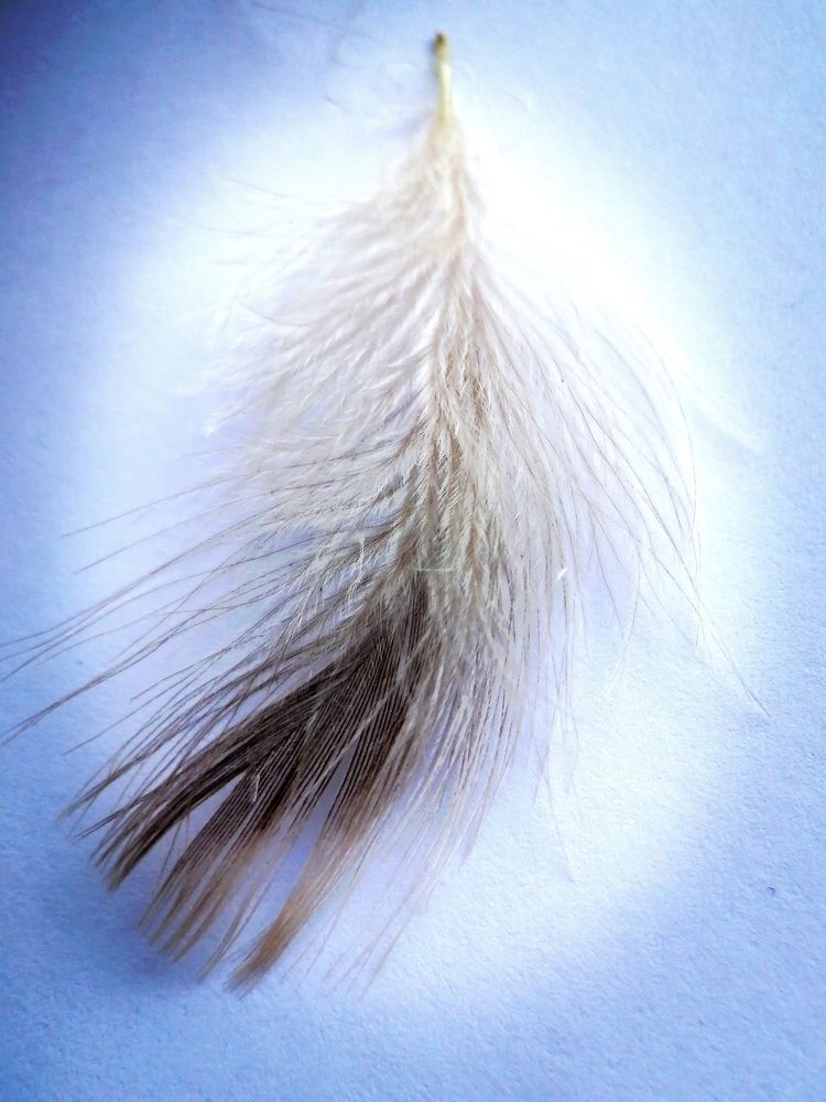 Photograph by Гонтарь Александра